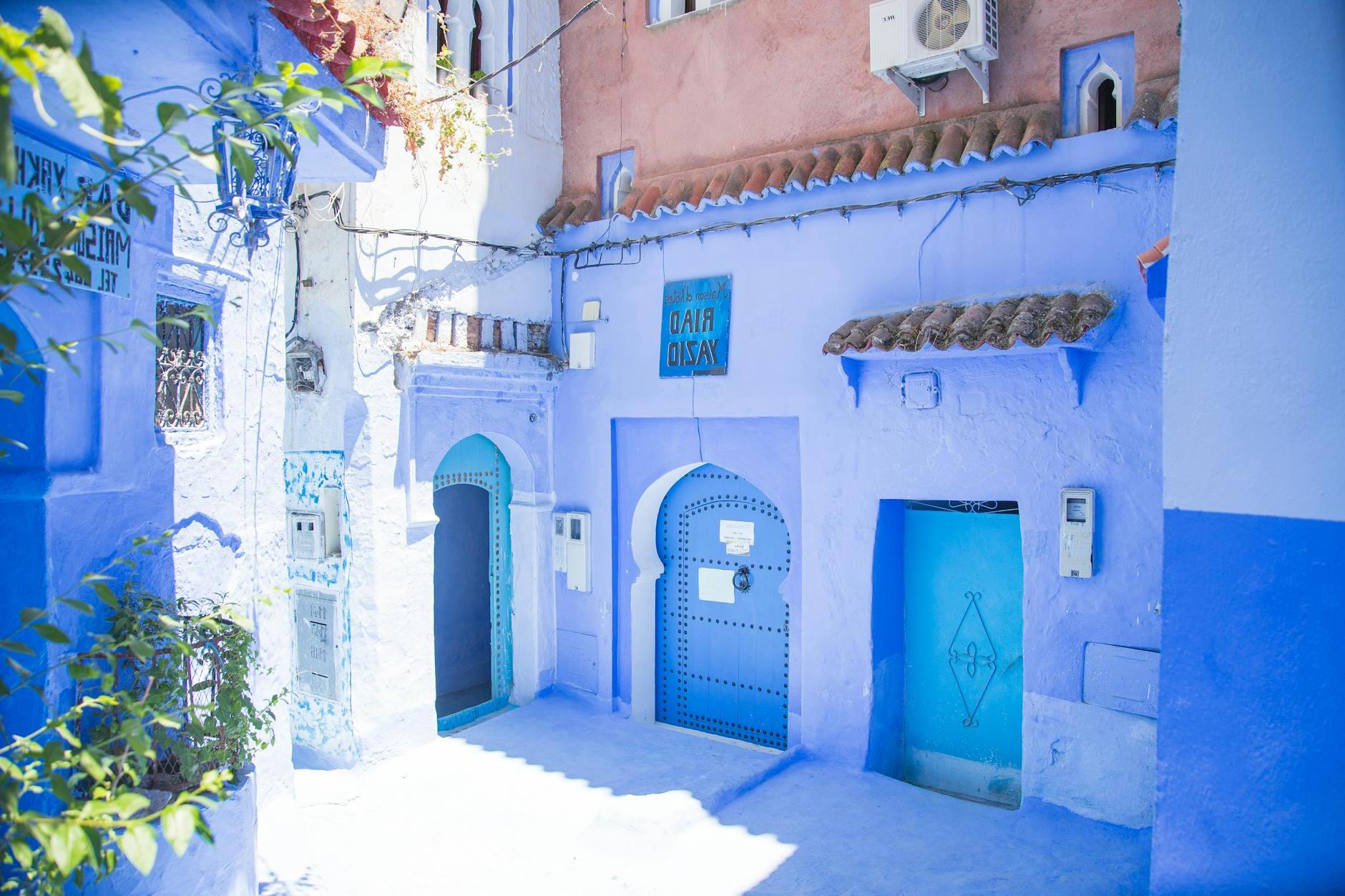 Blue exterior of house with doors located under sunlight on street with green plants in city of Morocco in summer