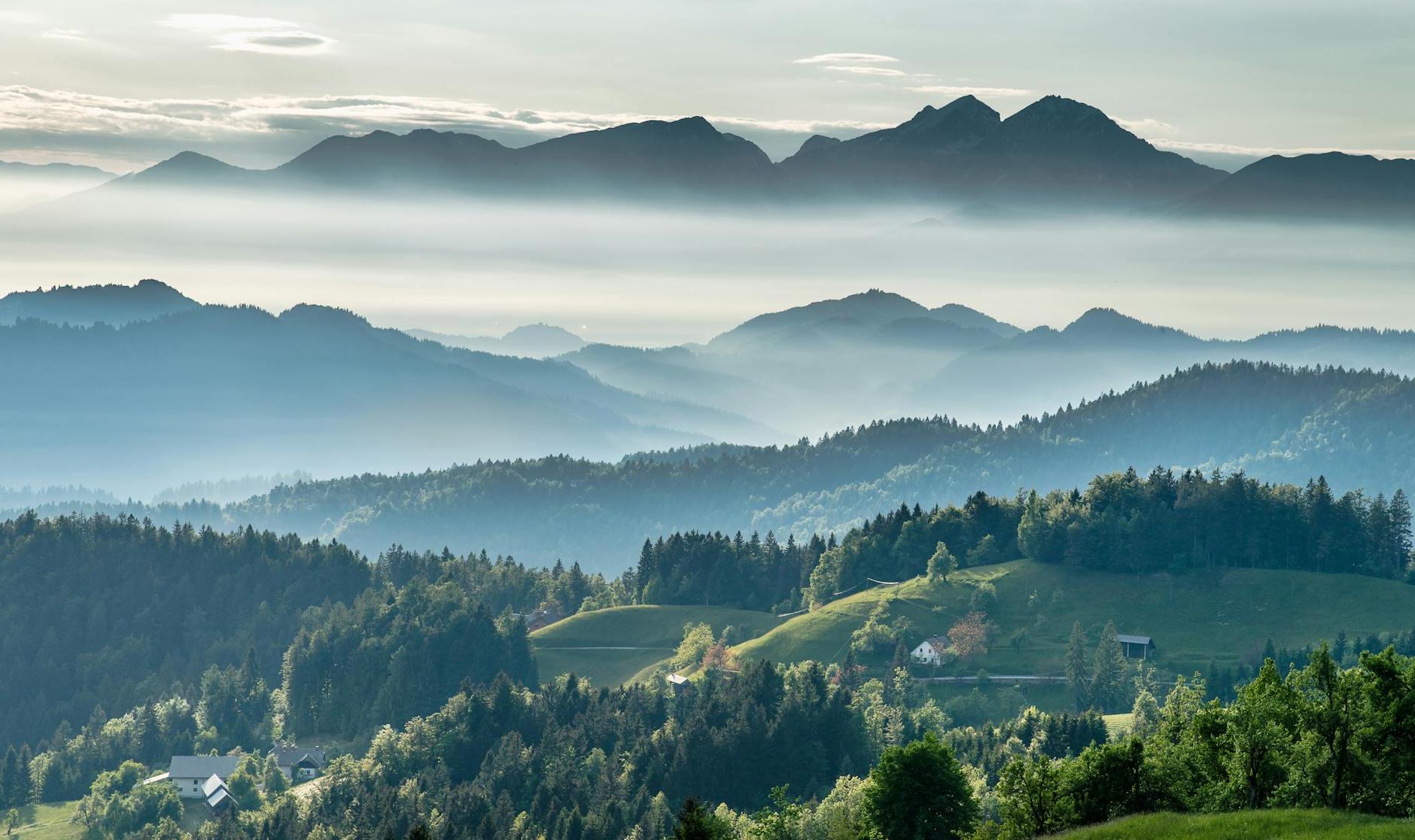 Mountainous valley with evergreen forest against misty sky