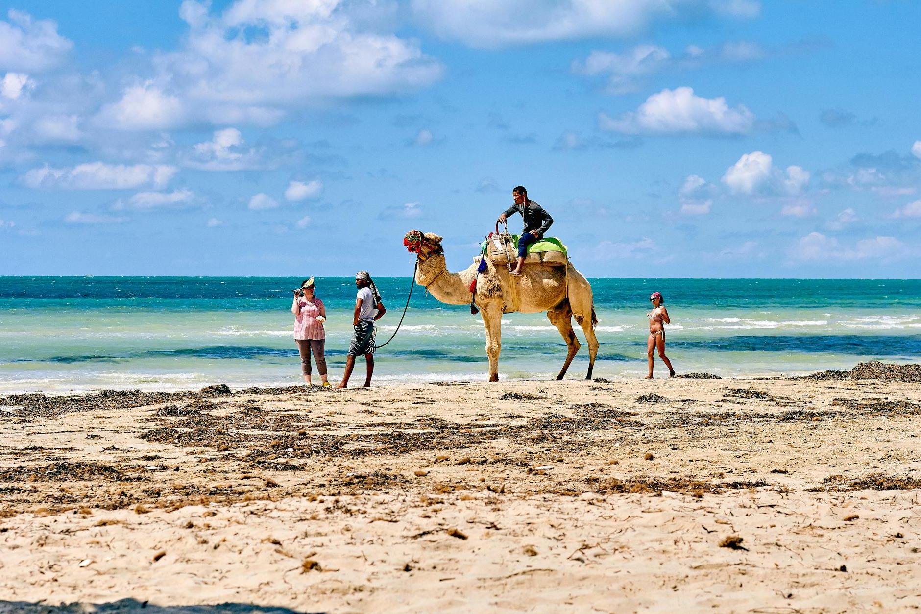 A Man Riding a Camel at the Beach