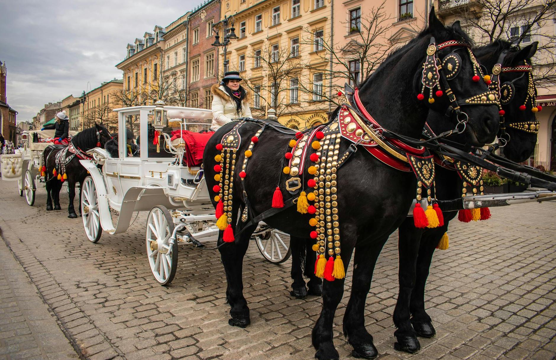 Horse Drawn Carriages in Old Town Krakow