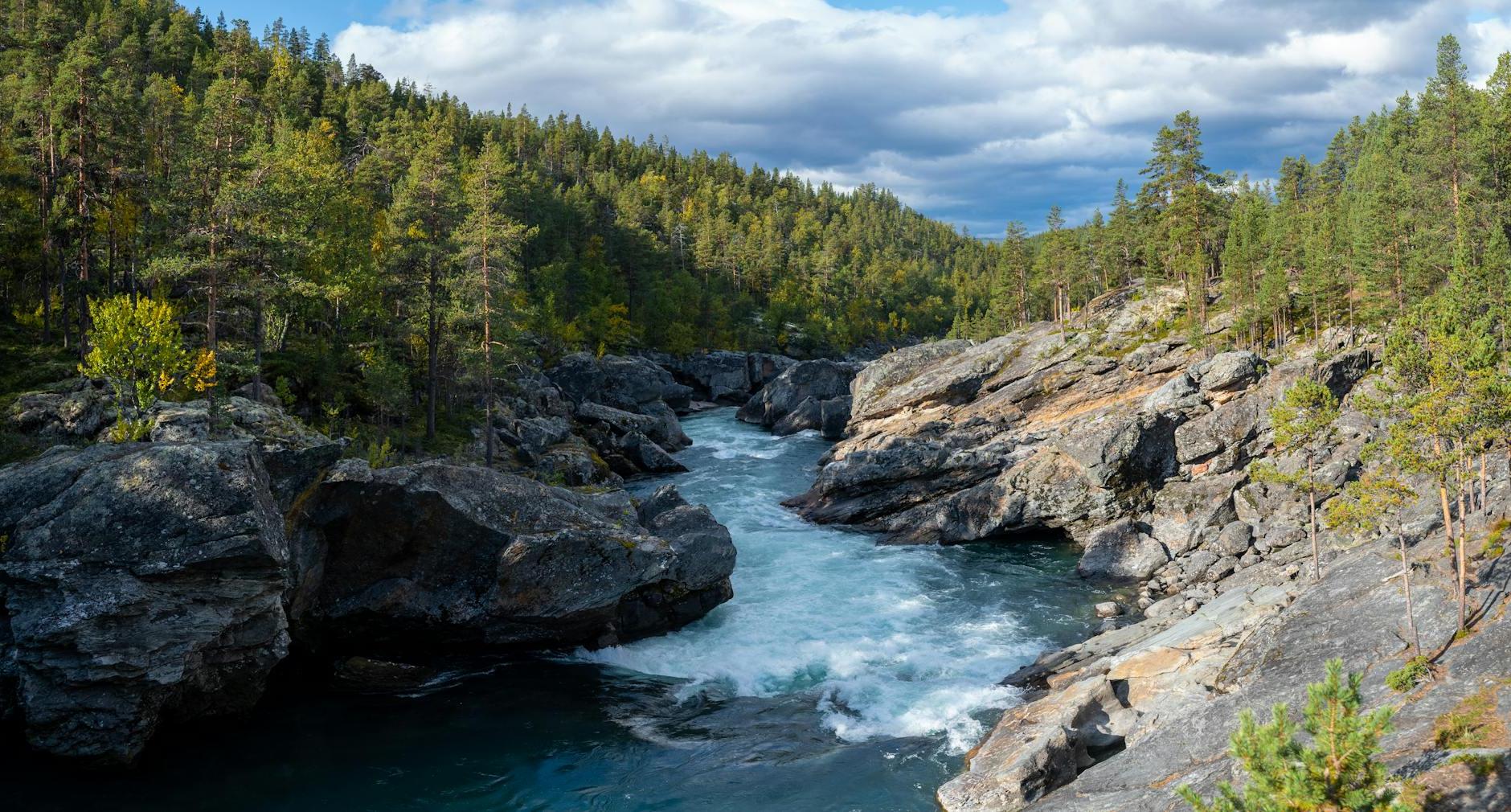 River streaming between rocky hills near forest