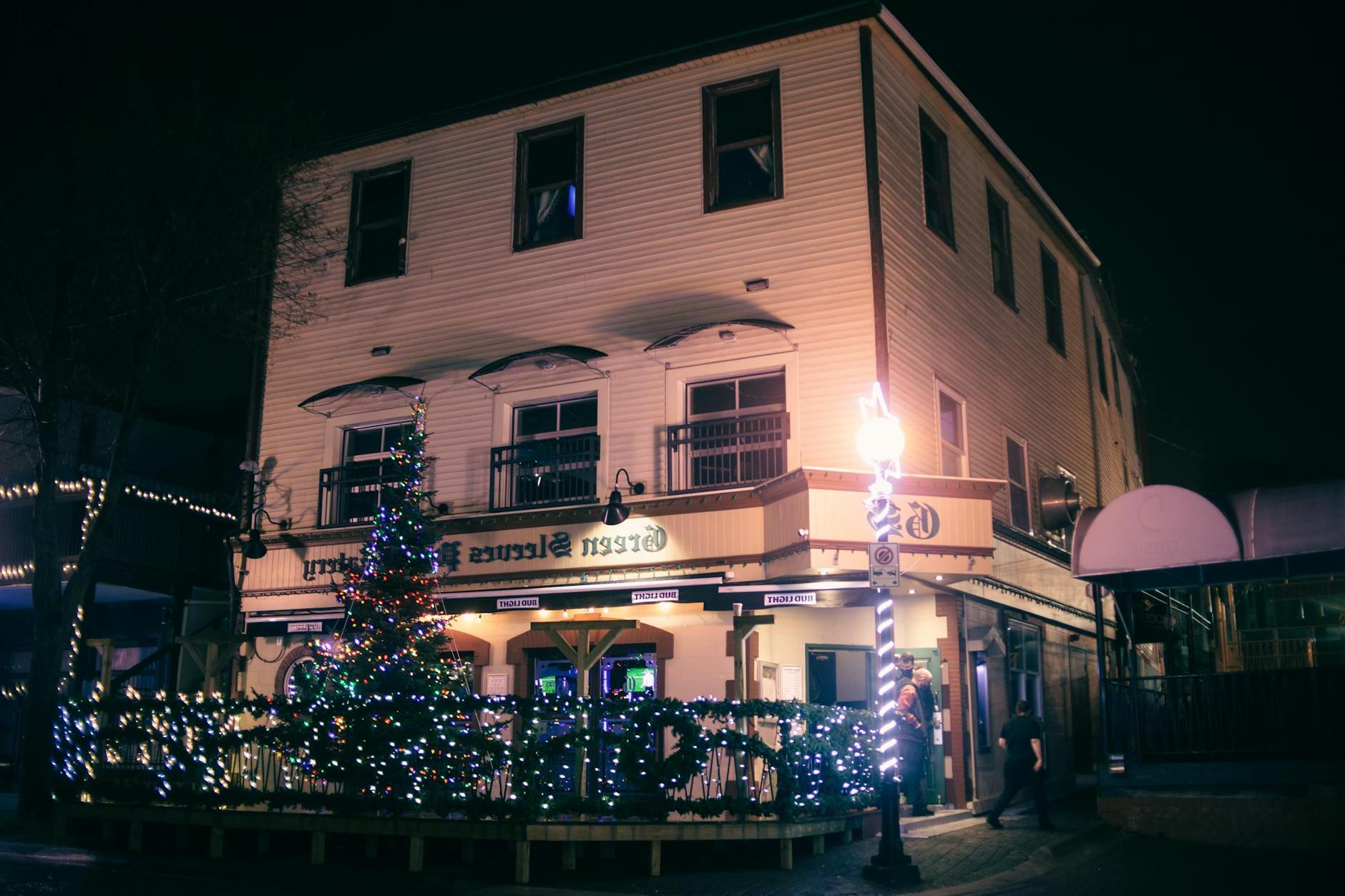 Exterior of modern pub surrounded with glowing green Christmas trees and decorations in late evening