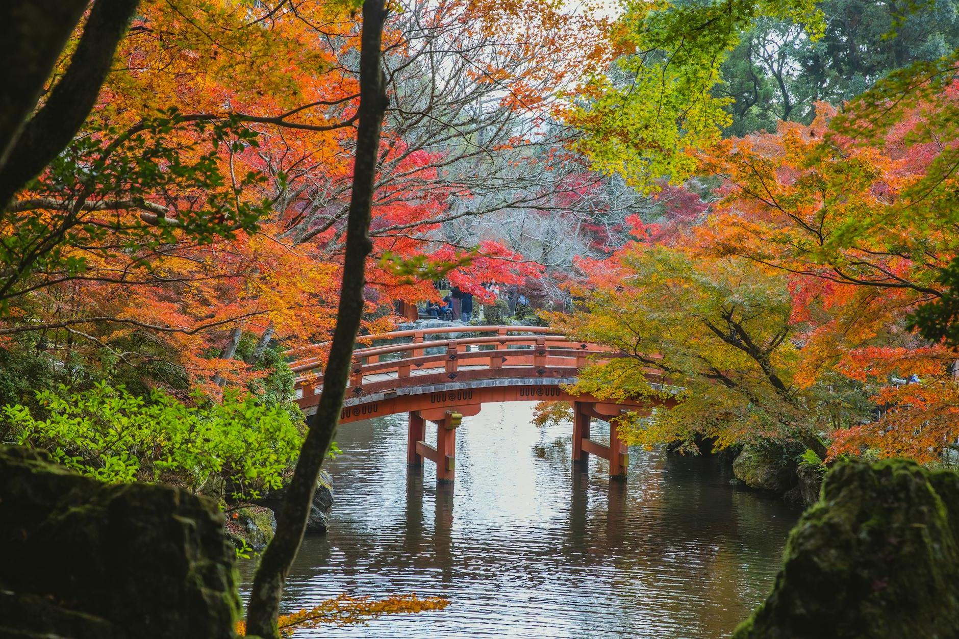 Arched bridge over calm lake in Japanese park