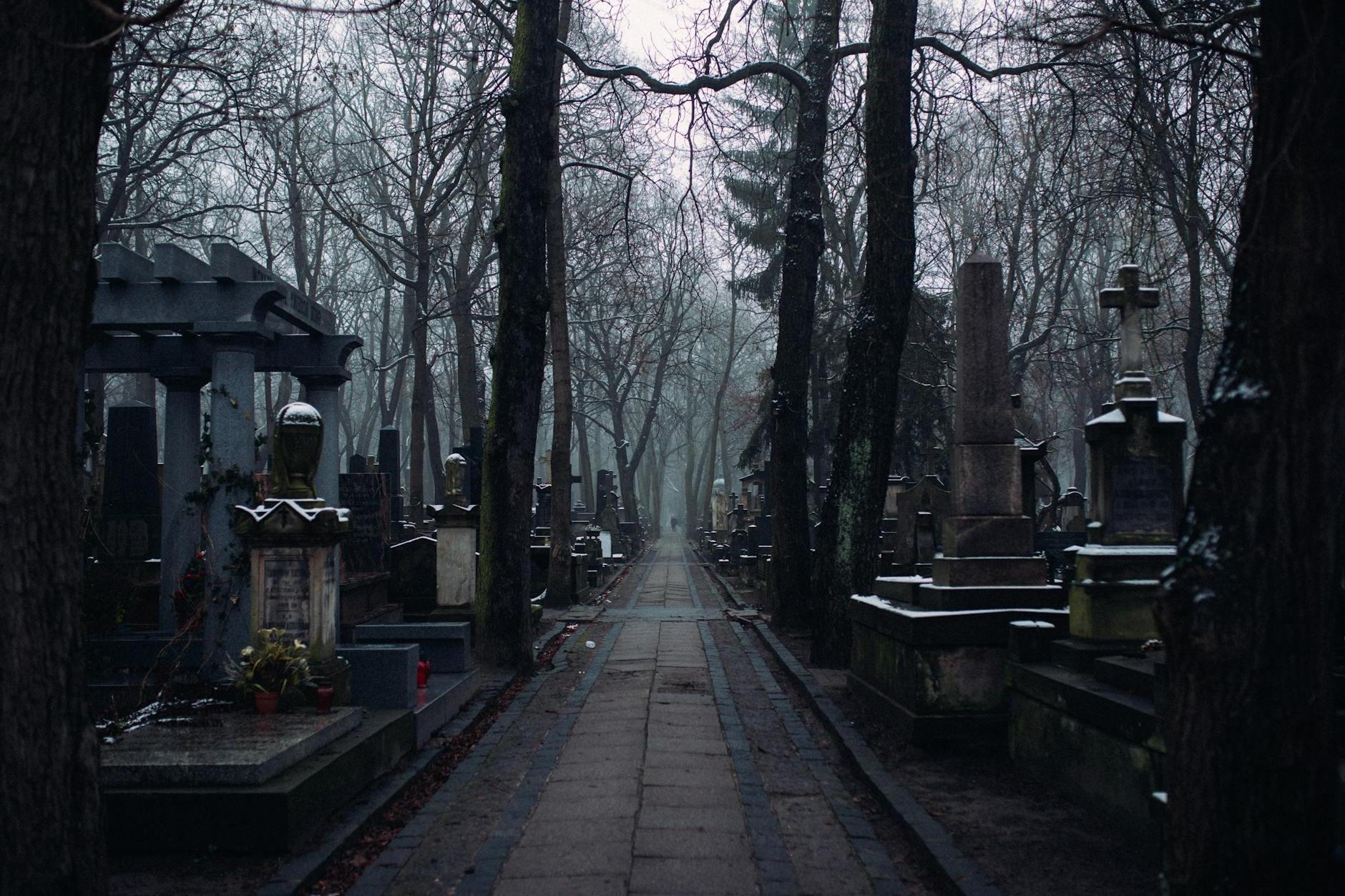 A Walkway Inside the Cemetery