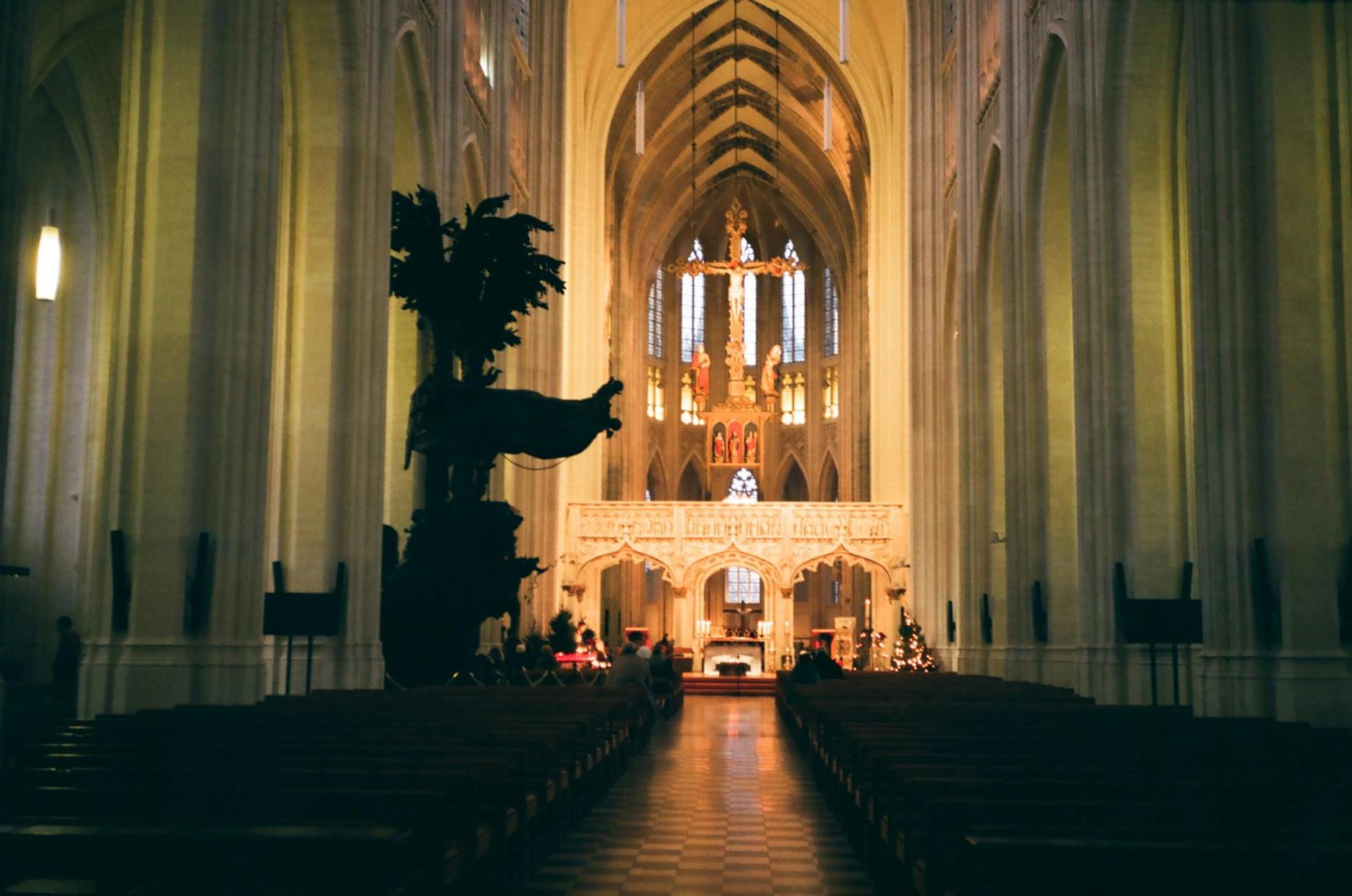 Interior of catholic cathedral with benches and ornamental arches