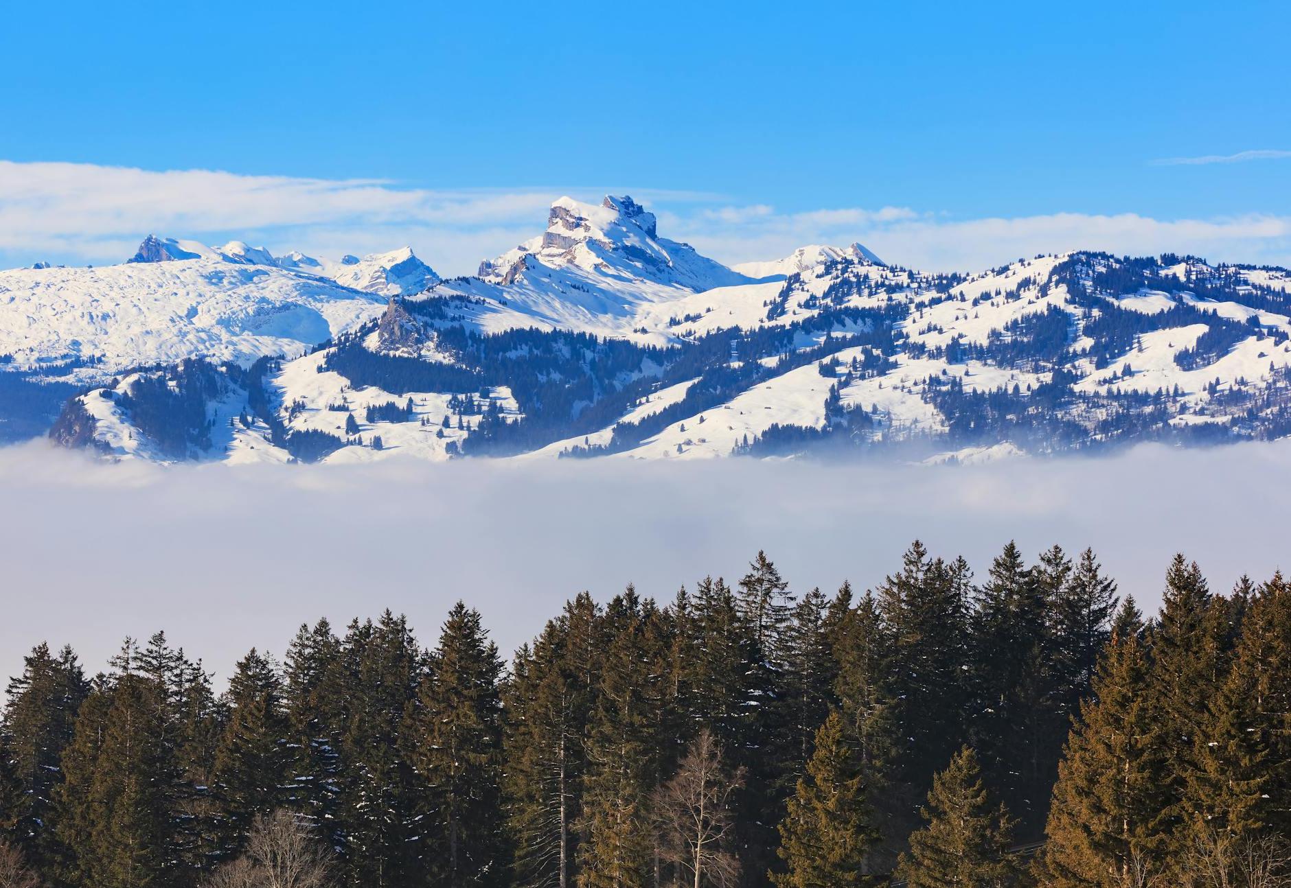 Scenic View of Mountains