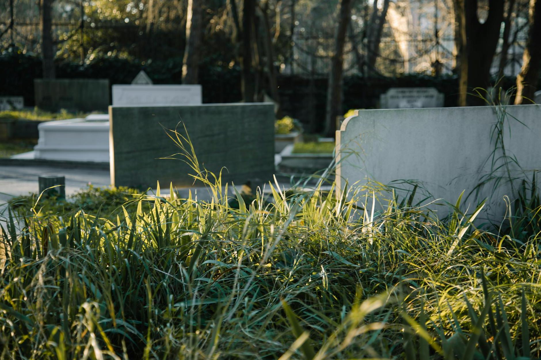 Gravestones against lush grass in cemetery on sunny day