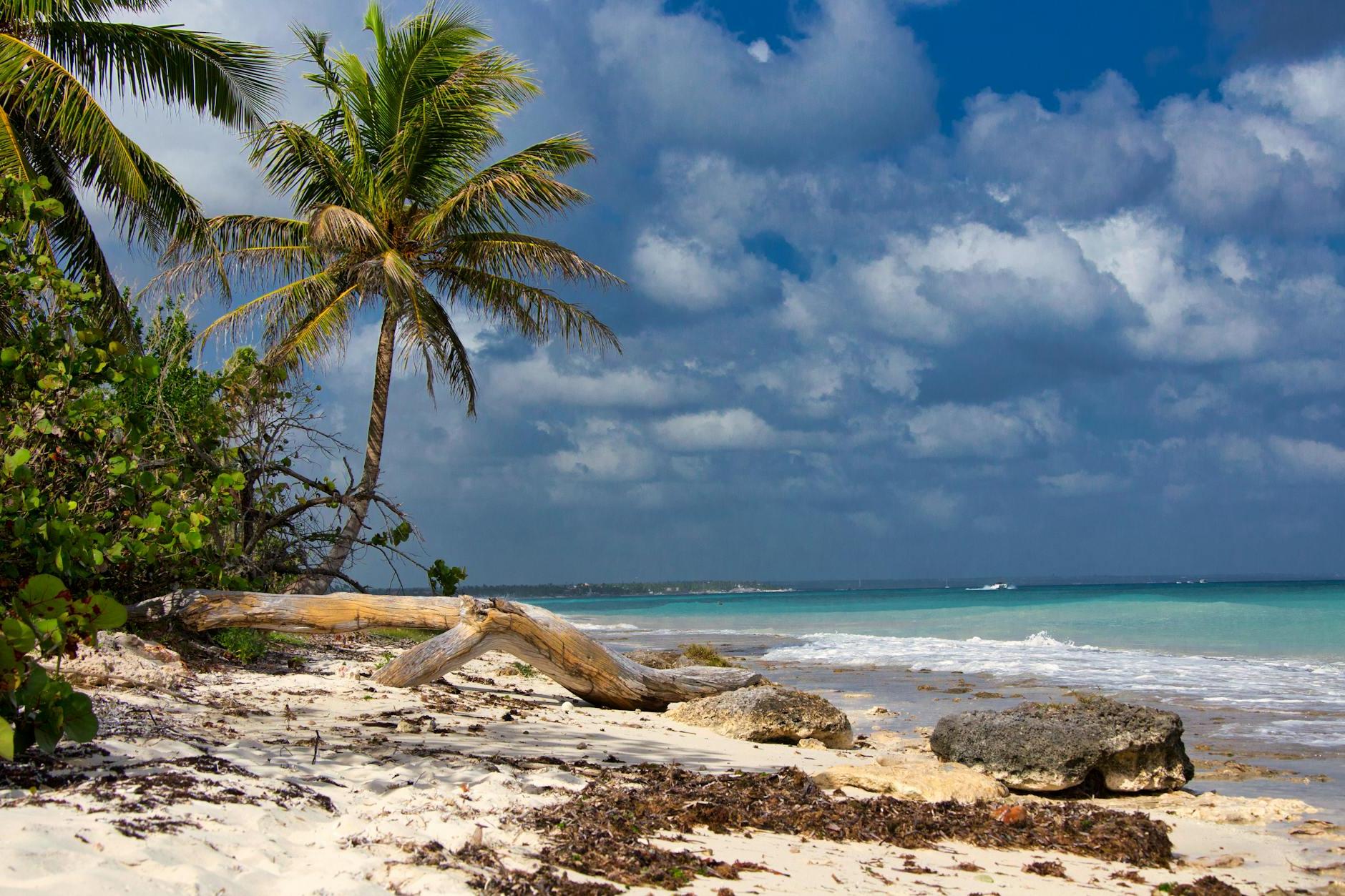 Scenery of a Relaxing Beach