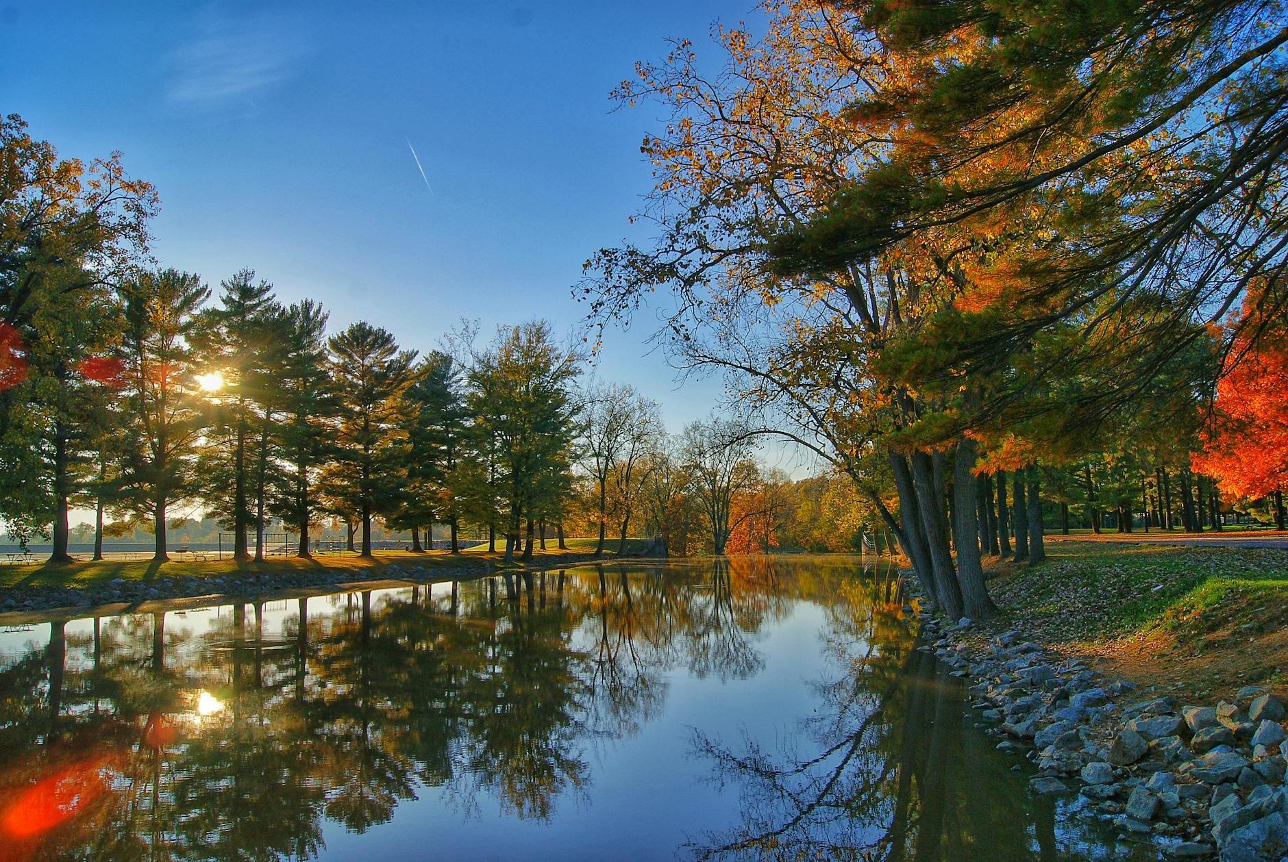 Scenic View of the Trees