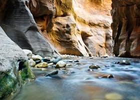 10 Must-Visit Spots in Virgin River, Utah