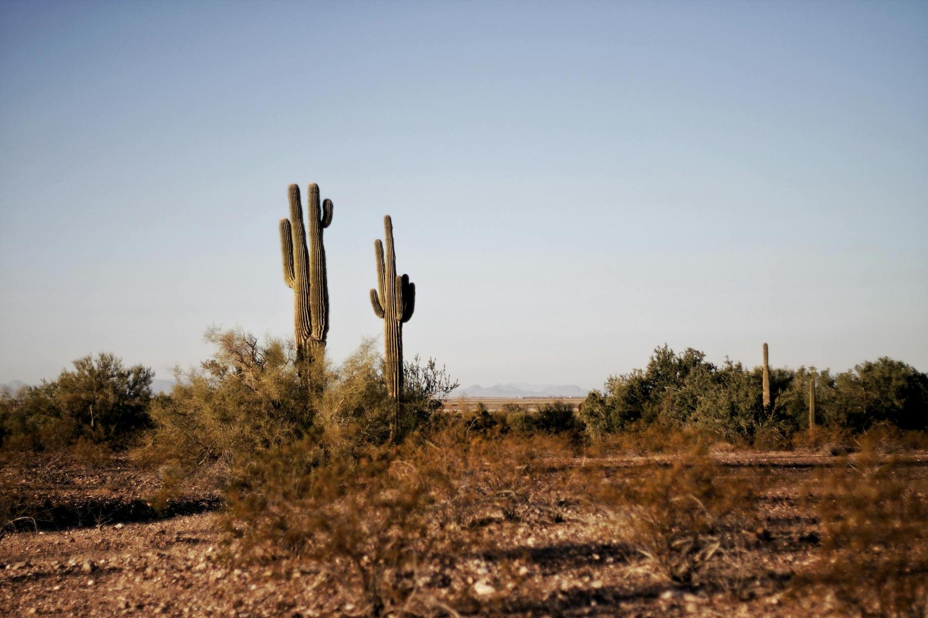 Discover Claypool, Arizona: 10 Must-Visit Places for Your Next Adventure