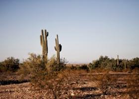 Discover Claypool, Arizona: 10 Must-Visit Places for Your Next Adventure