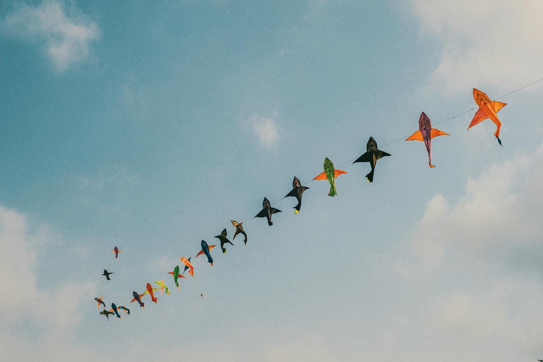 Assorted-color Kites